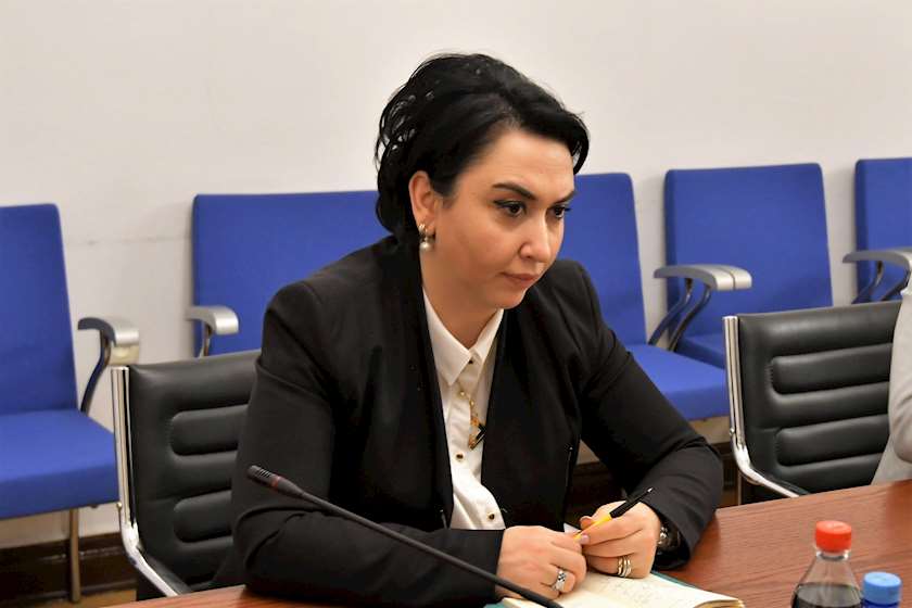 ეკა ბესელიამ ,, ქართული ოცნება” დატოვა. ვინ იქნება შემდეგი?