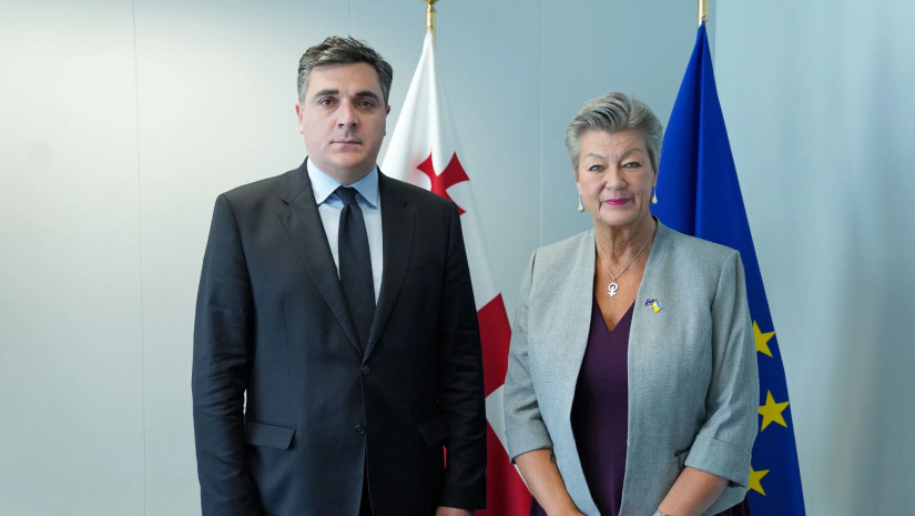 ილია დარჩიაშვილი ბრიუსელში ევროკომისარ ილვა იოჰანსონს შეხვდა
