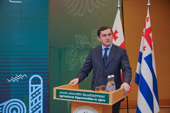 სოფლის მეურნეობის პოტენციალის წარმოსაჩენად . . .  