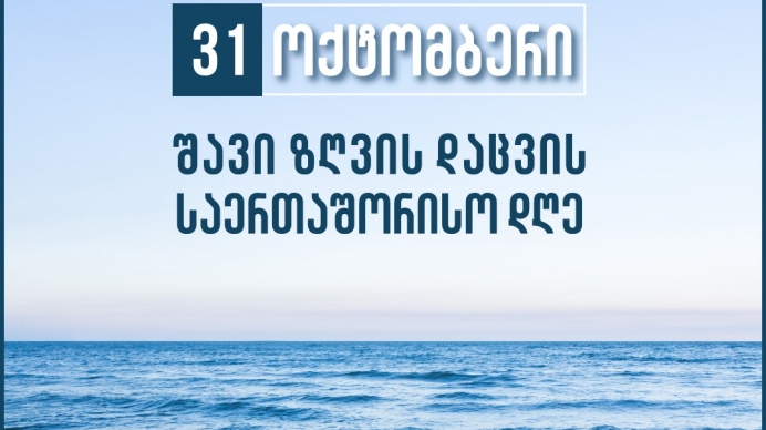31 ოქტომბერს შავი ზღვის დაცვის საერთაშორისო დღე აღინიშნება