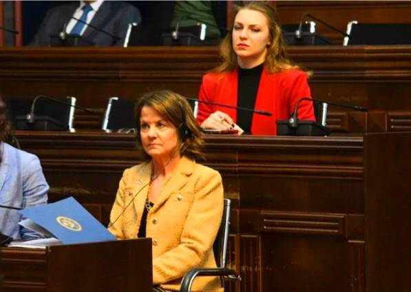 რობინ დანიგანი: გვინდა, საქართველო იყოს ევროკავშირის წევრი