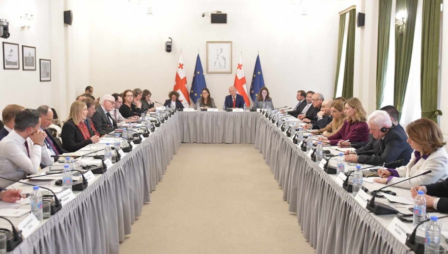 საპარლამენტო ოპოზიციის წარმომადგენლები ევროკავშირის პოლიტიკური და უსაფრთხოების კომიტეტის ელჩებს შეხვდნენ